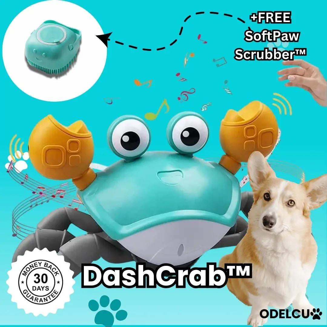 DashCrab™- Interactive Dog Toy - Epic.Wish.Gifts