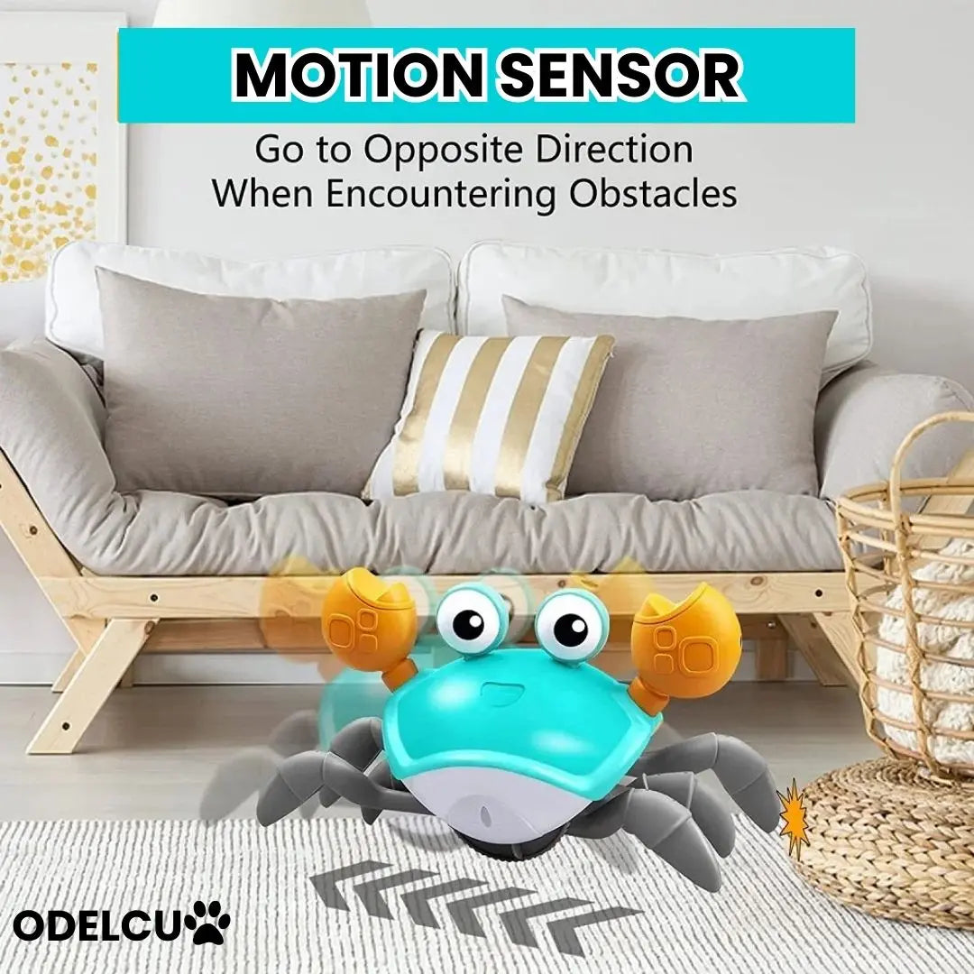 DashCrab™- Interactive Dog Toy - Epic.Wish.Gifts