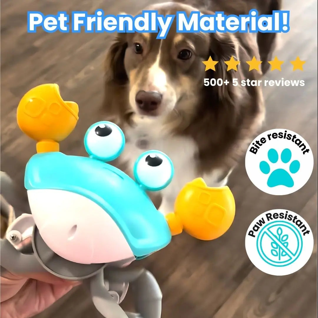 DashCrab™- Interactive Dog Toy - Epic.Wish.Gifts