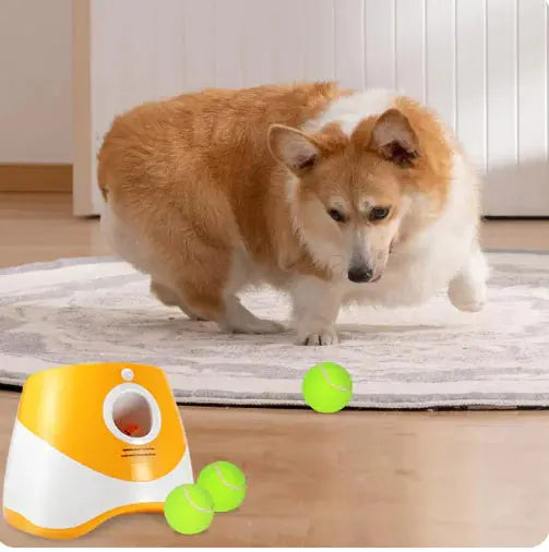 FetchPro Automatic Dog Ball Launcher - Epic.Wish.Gifts