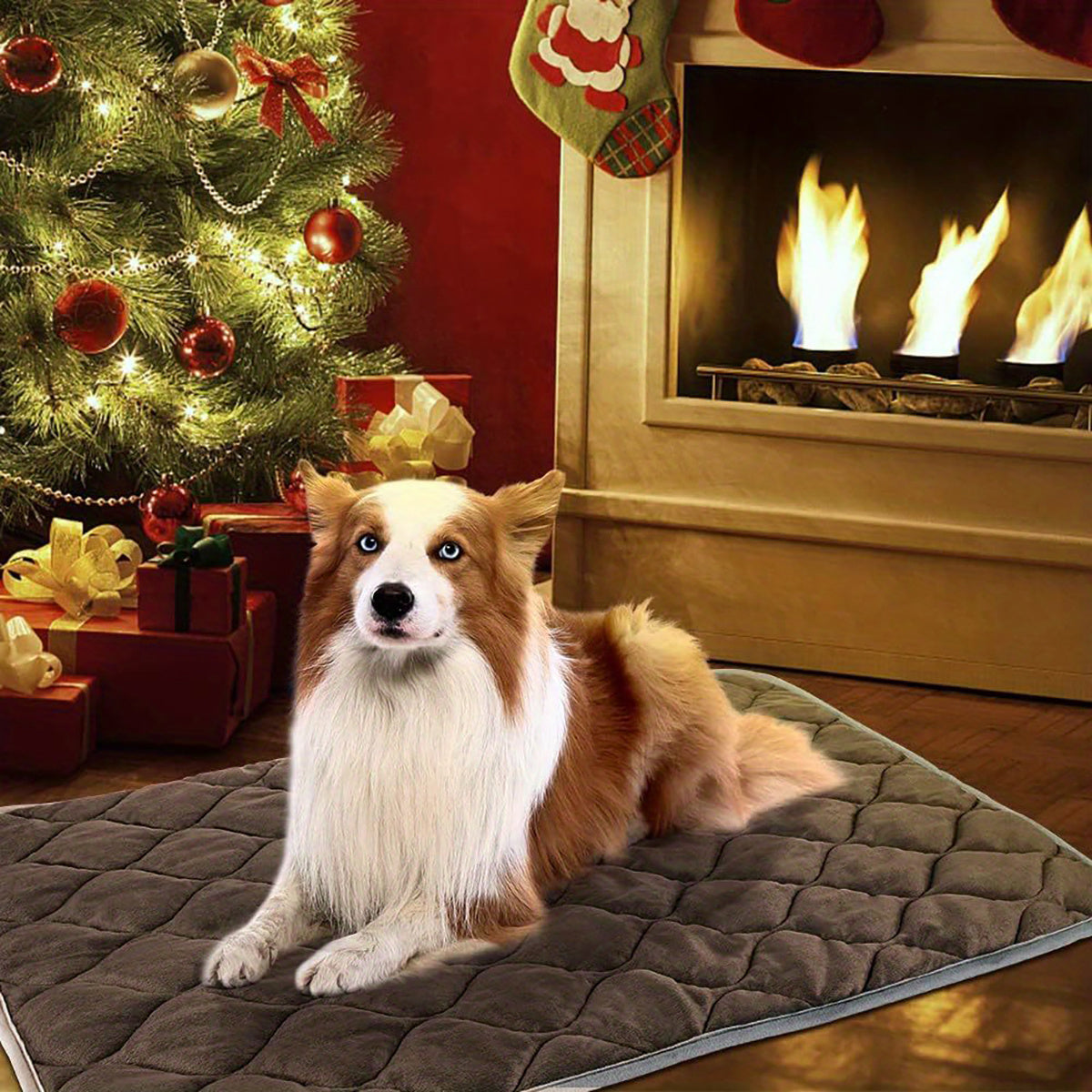 Dog Cat Bed, Cat Dog Non-Slip Mat, Extra Warm Thermal Pet Pad Self-Heating Cat Mat Warm Thermal Pet Pad Washable Dog Crate Pad Heat Dog Cat Bed Mat Blanket Non-Slip Bottom For Outdoor And Indoor Pets Doba